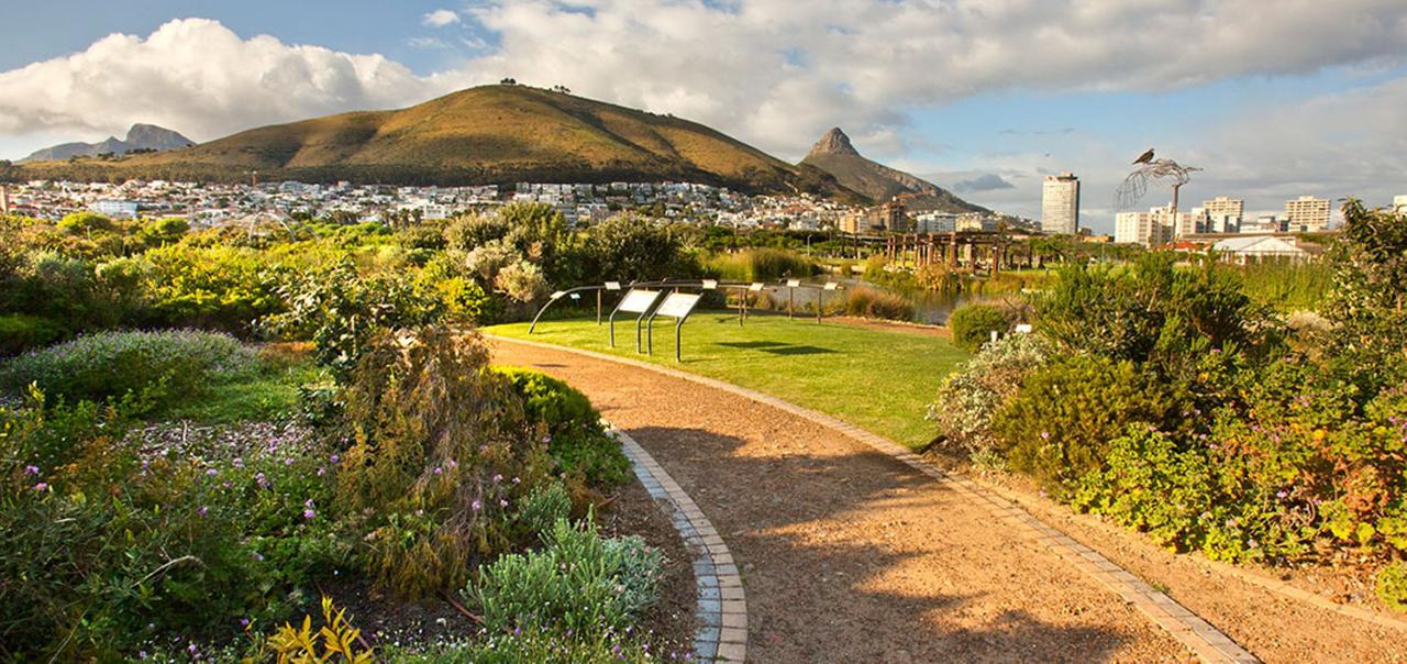 Planet Africa 1 By Ctha Appartement Kaapstad Buitenkant foto